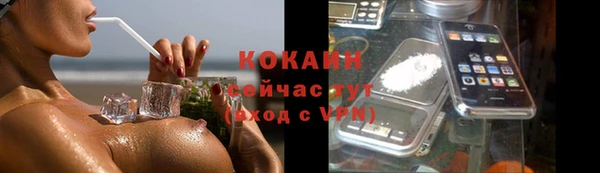 ПСИЛОЦИБИНОВЫЕ ГРИБЫ Карпинск