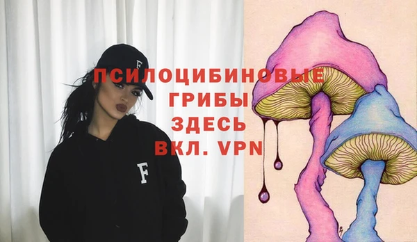 прущая мука Касимов