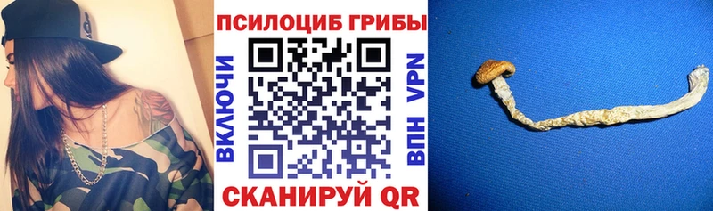 Купить где  Инсар  Псилоцибиновые грибы ЛСД 